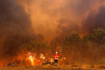 PORTUGAL FOREST FIRE ODEMIRA