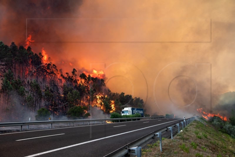 PORTUGAL FOREST FIRE IN LEIRIA