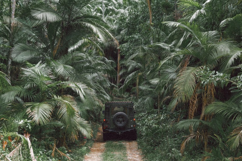 Države amazonske prašume okupljaju se u Brazilu zbog dogovora o okolišu