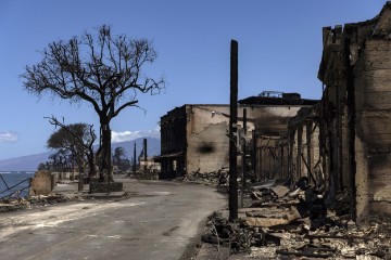 USA HAWAII MAUI LAHAINA WILD FIRE