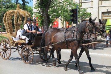 Tradicionalna "Dužijanca" održana 113. put u Subotici