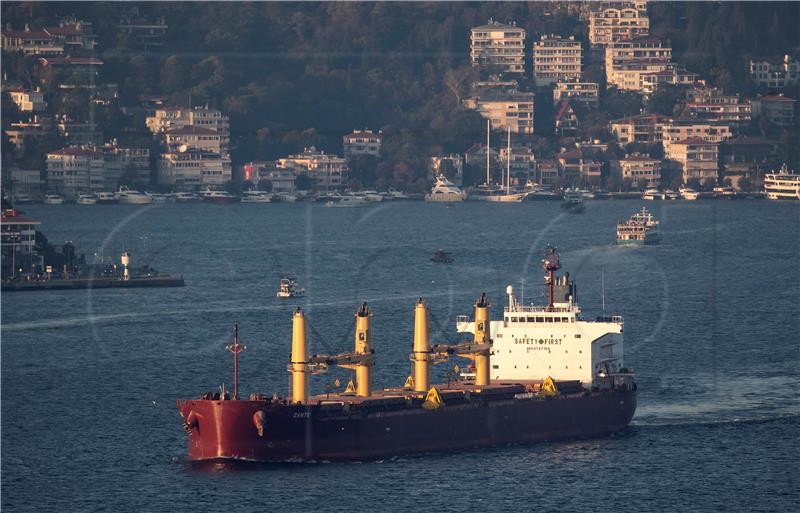 Teretni brod iz Ukrajine stigao u Istanbul unatoč ruskoj blokadi