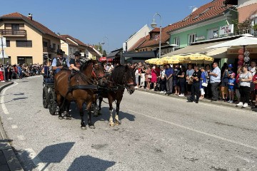 21. Vozočašće konjskih zaprega do Marije Bistrice