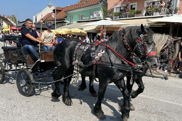 21. Vozočašće konjskih zaprega do Marije Bistrice