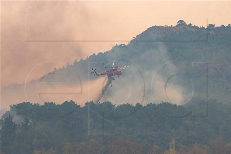 Grčka: U šumi zahvaćenoj požarom pronađeno 18 izgorjelih tijela 