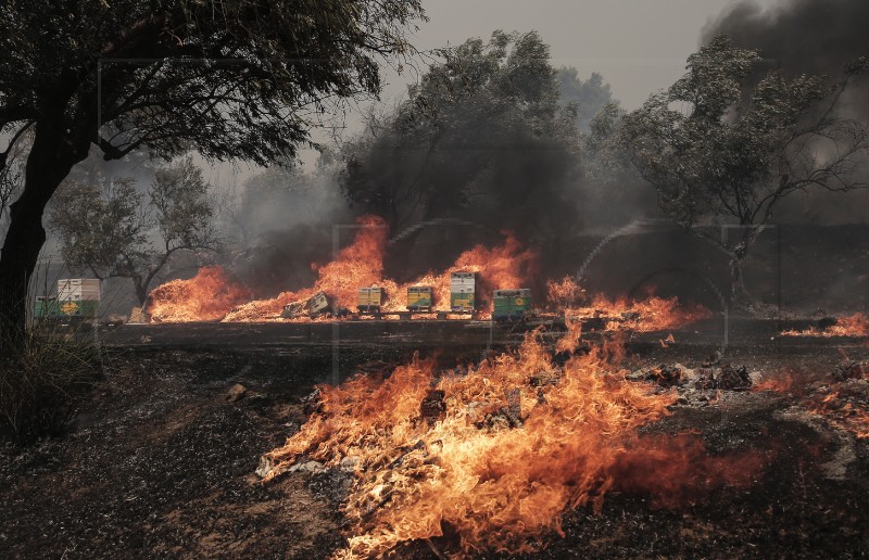 Šumski požari i evakuacije blizu Atene; u Turskoj u pokrajini Canakkale