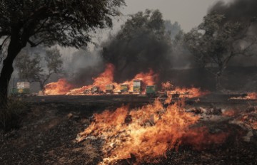 Šumski požari i evakuacije blizu Atene; u Turskoj u pokrajini Canakkale