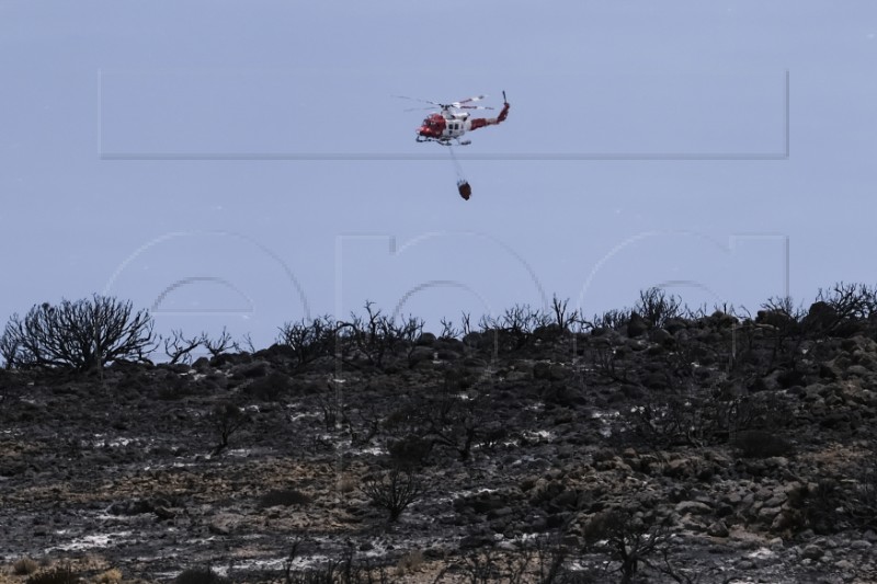 SPAIN FOREST FIRES