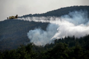 Šumski požari u Grčkoj i dalje van kontrole