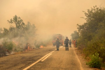 GREECE WILDFIRES