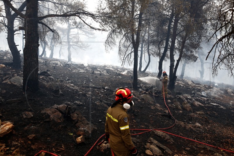 GREECE WILDFIRE