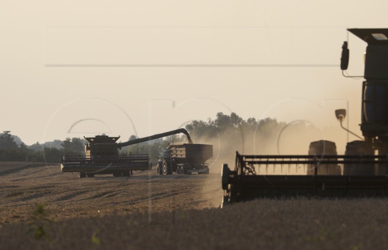 Svyrydenko : Ukraine has started exporting grain via Croatian ports