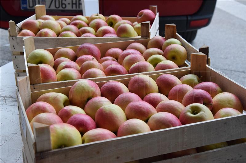 This year's apple yield at 65,000 tonnes, covering only half of domestic needs