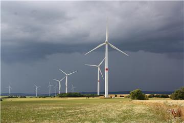 Zelena dilema: Klimatski ciljevi EU-a možda su u sukobu sa zaštitom prirode