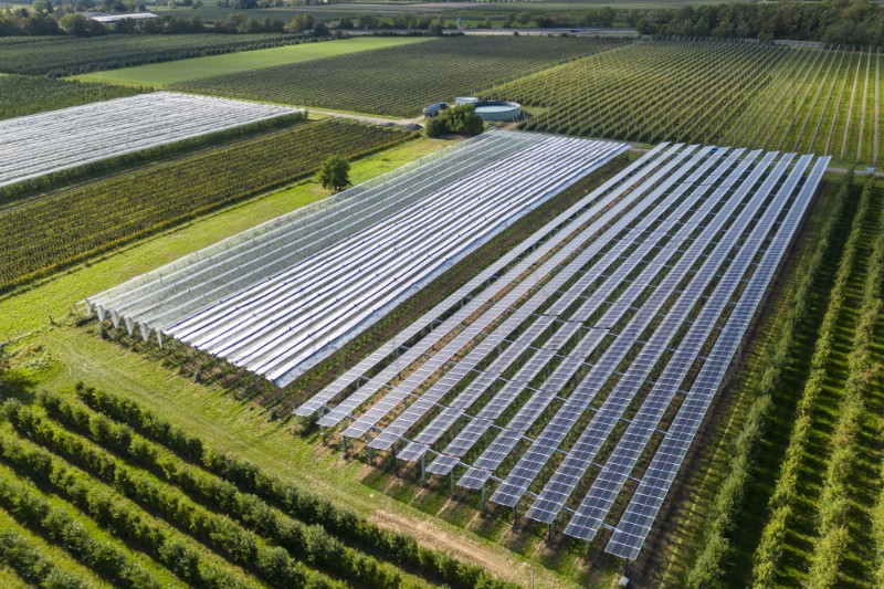 GERMANY SOLAR CULTIVATION