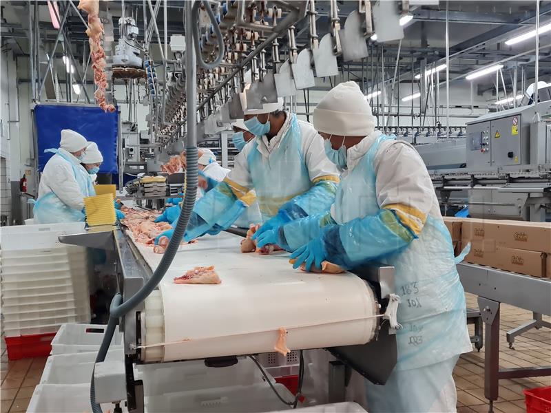 Production of pigs, cow's milk, eggs down in 2022