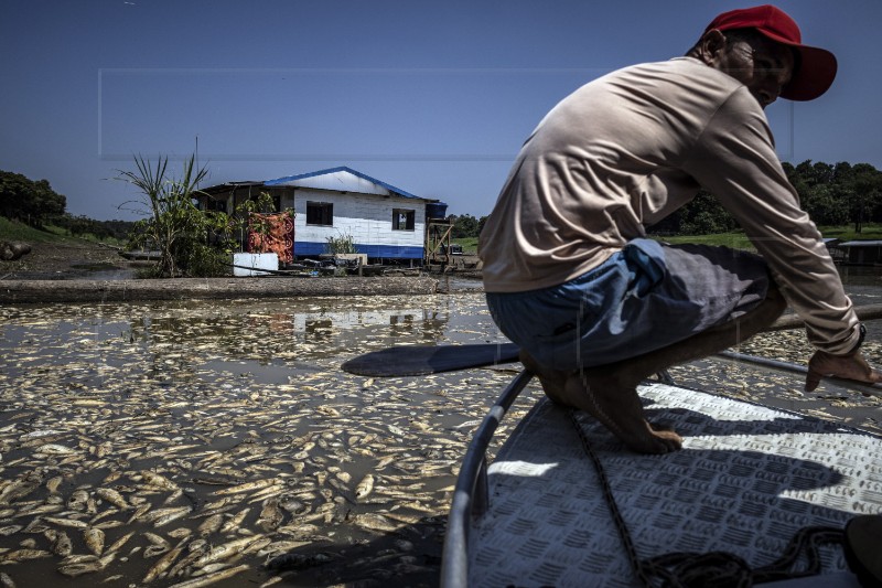 BRAZIL AMAZON DROUGHT