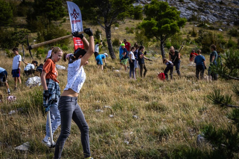 Tree-planting drive organised on Mount Mosor