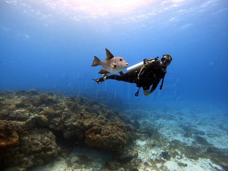 Climate change affecting fish populations in Lastovo archipelago