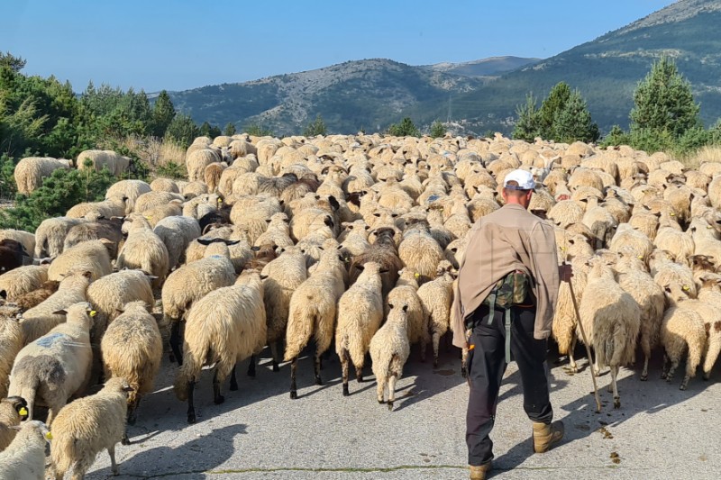 Raste interes turista i ulaganja u turizam Hercegovine