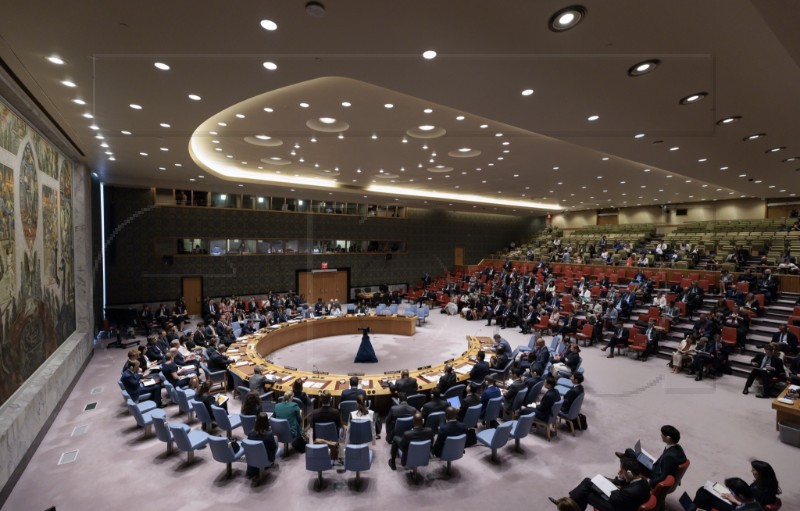  UN Security Council calls for respecting Dayton, Komšić again criticises Plenković