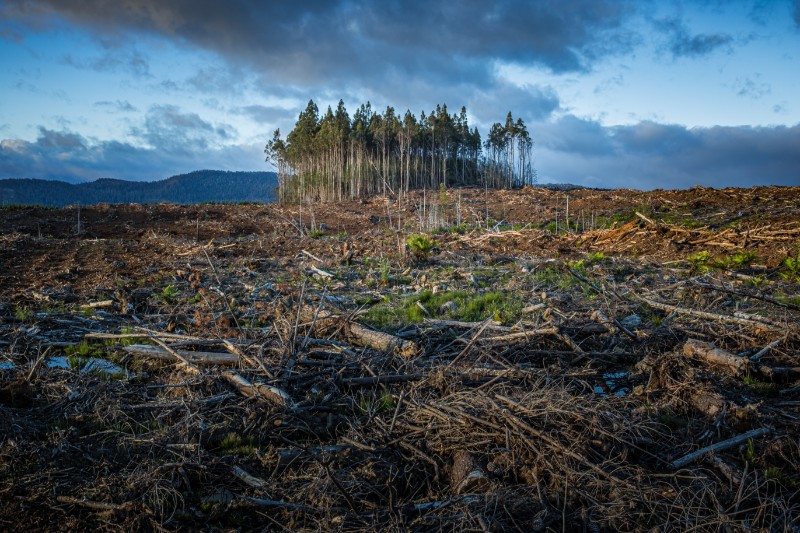 Klimatske promjene suša