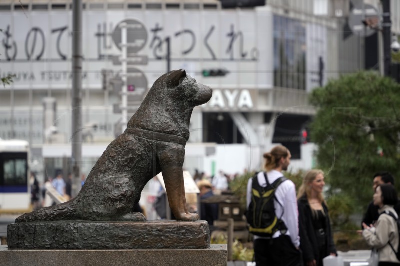 JAPAN ANIMALS HACHIKO