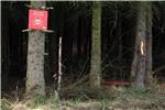 Educational trail set up in Kotar Forest after CHF 6m project of demining