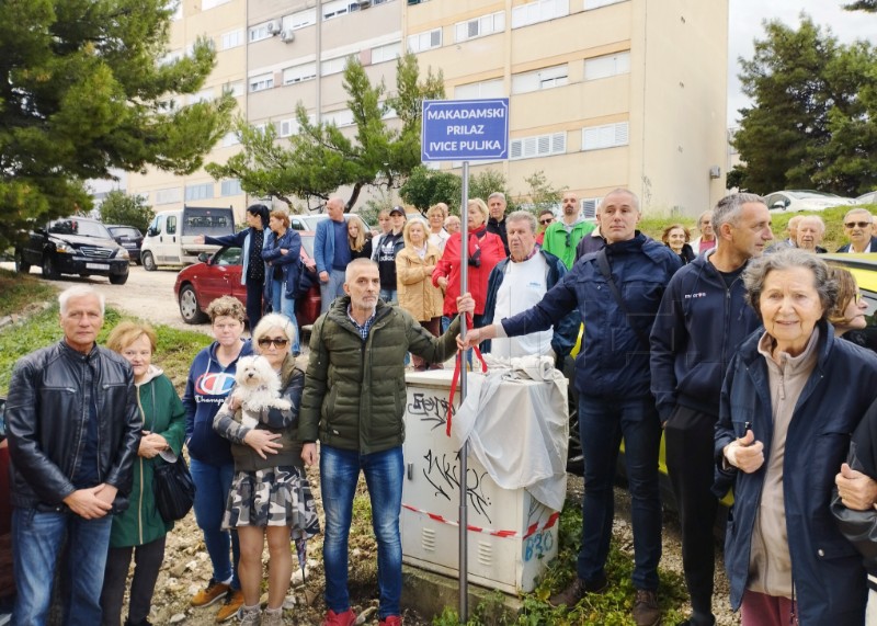 Prosvjednici otvorili "Makadamski prilaz Ivice Puljka"