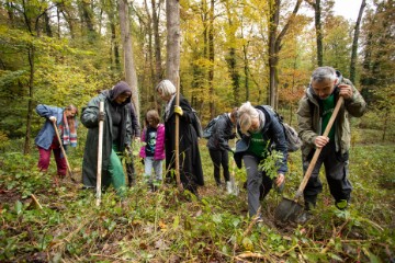 Sadnja stabala u Maksimiru u sklopu europskog Klimatskog pakta