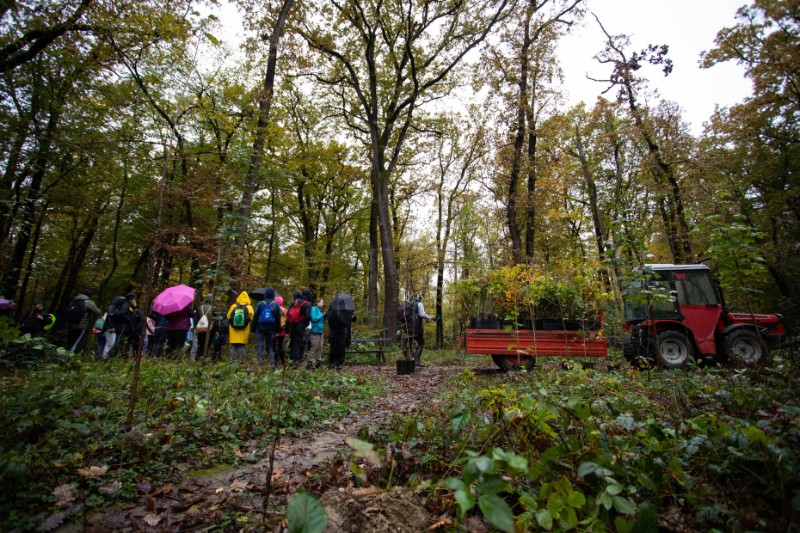 Akcija sadnje stabala u Maksimiru