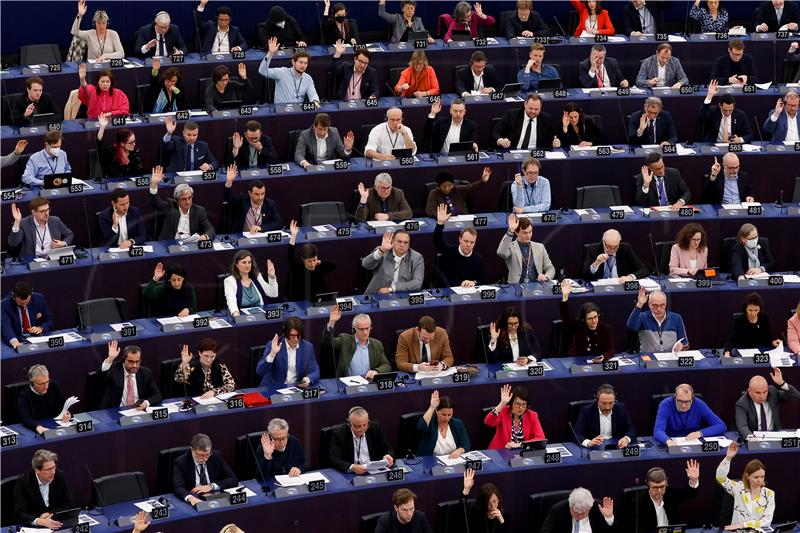 Croatian MEPs divided over report on amending EU treaties