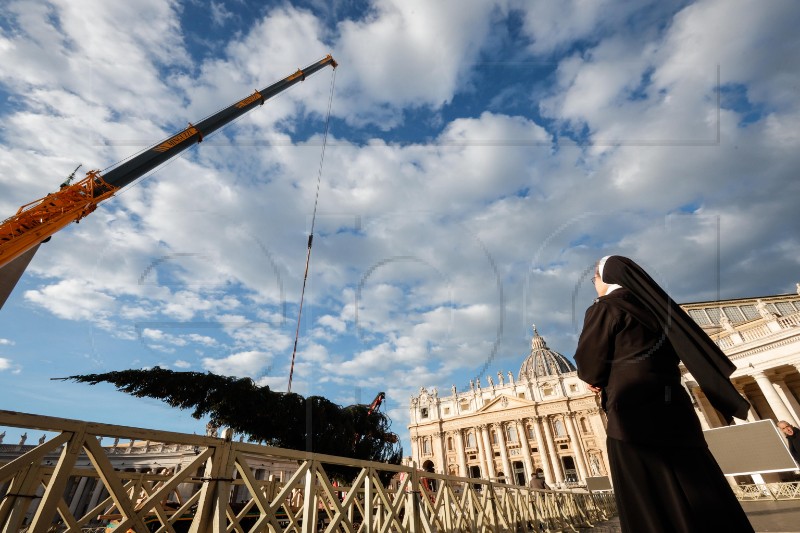 VATICAN CHRISTMAS TREE