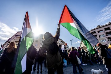 Mirni skup "Ne u naše ime - mir i sloboda Palestini"