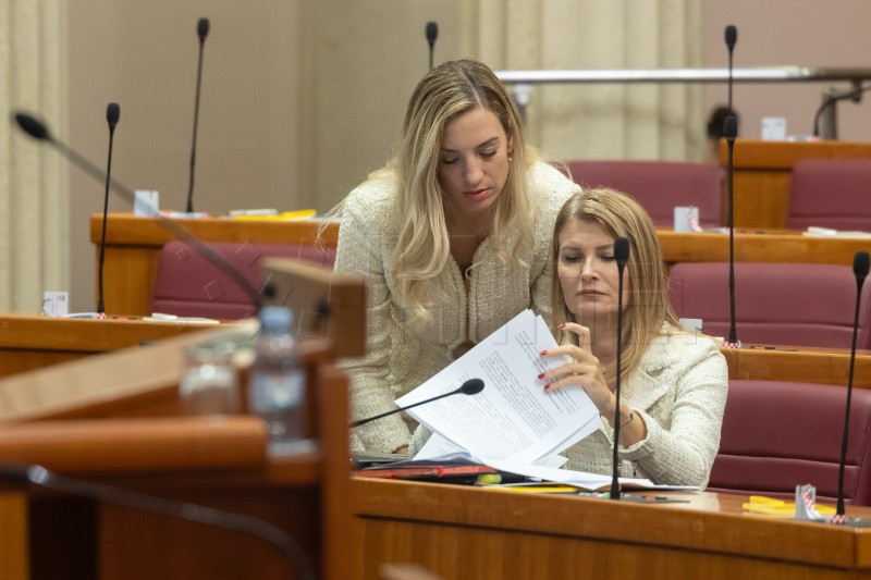 Glasovac i Raukar Gamulin: Nemamo riješeno zbrinjavanje žrtava nasilja u obitelji