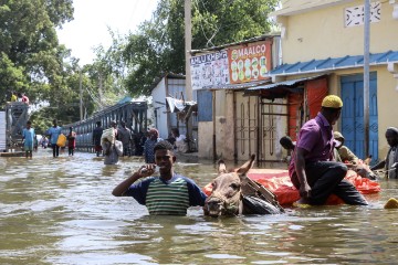 Više od dva milijuna raseljenih zbog poplava na Rogu Afrike