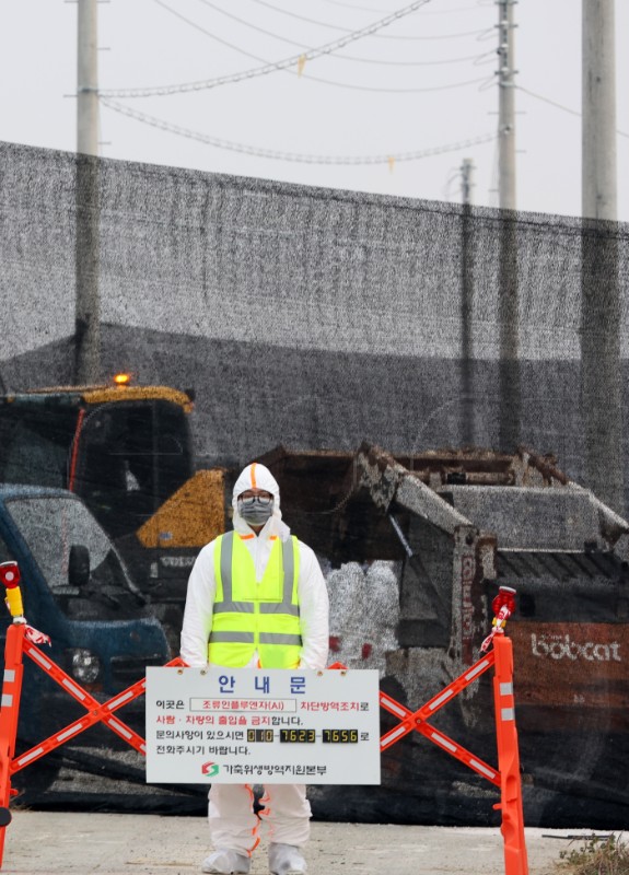 SOUTH KOREA DISEASES BIRD FLU