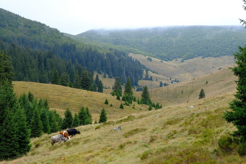 Croatia joins another multinational UNESCO nomination