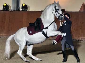 10th Lipizzaners' Christmas Ball held in Đakovo