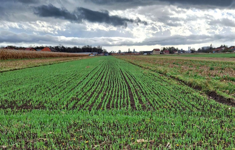 Virovitica-Podravina County prepares projects to boost agriculture