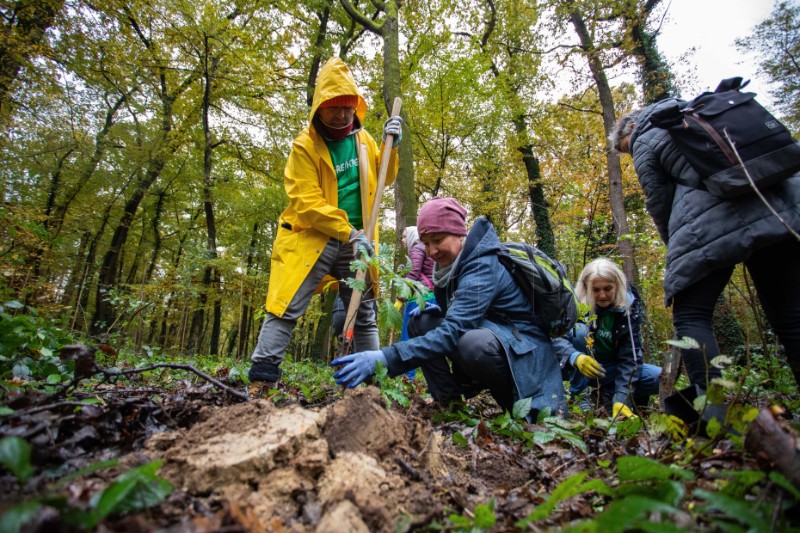 Over 125,000 trees planted in CO2MPENSATING campaign