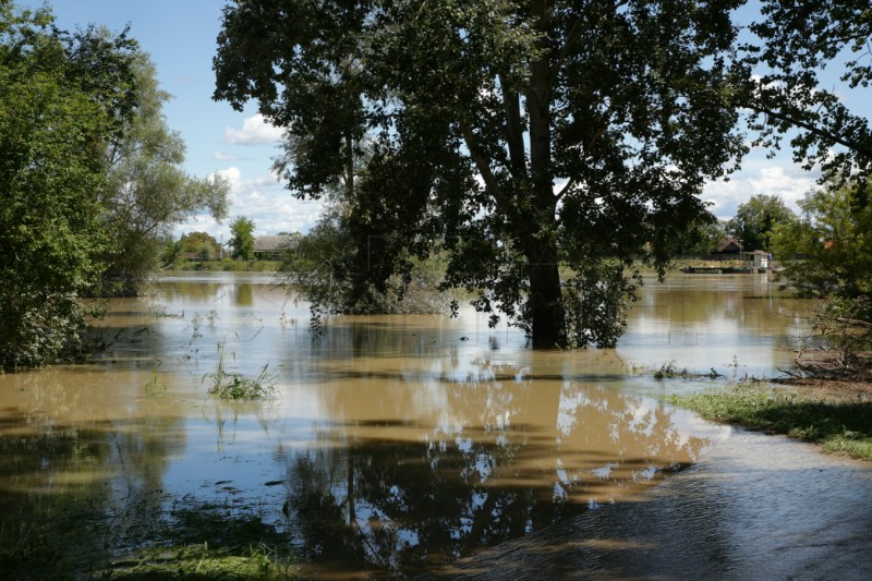 Police rescue 20 illegal migrants from Sava river