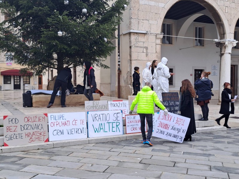 Pula: Zelena Istra i inicijativa Za Lungomare protiv sječe stabala