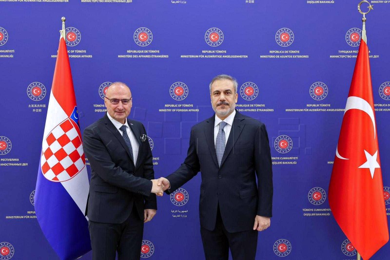 FM secures Turkey's support for Croatia's OECD accession