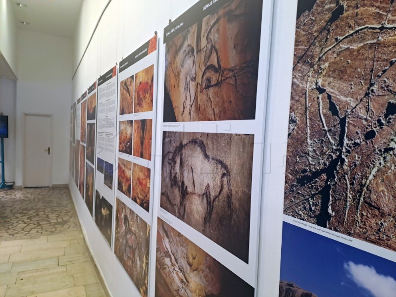 Exhibition about Altamira opens in Archaeological Museum in Pula