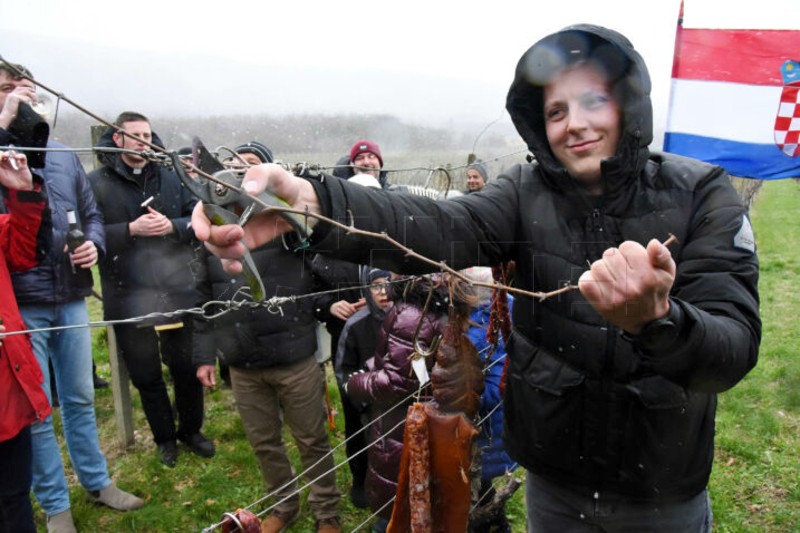 Na Vincekovo prvi ovogodišnji rez na vinodolskom trsju