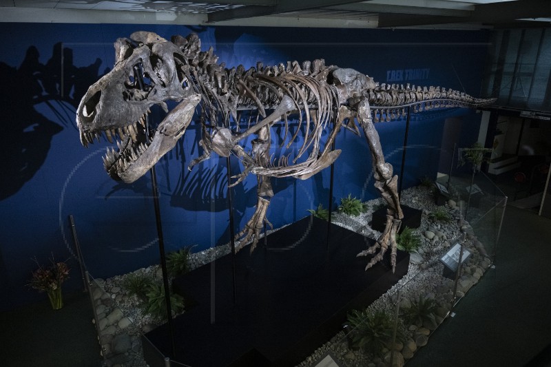 SWITZERLAND T.REX TRINITY EXHIBITION