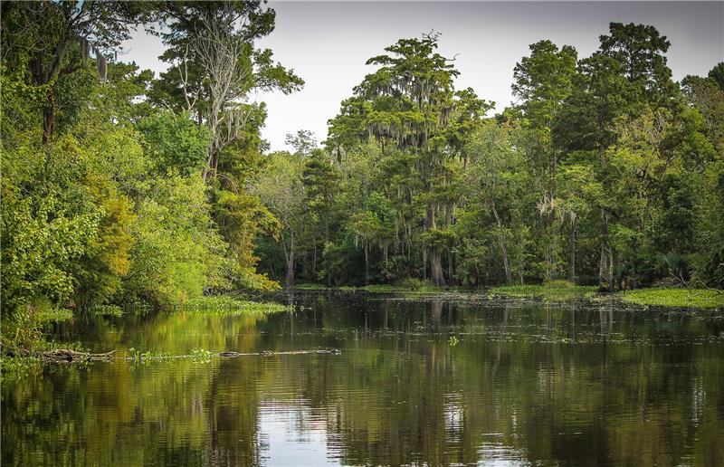  Croatia to mark World Wetlands Day this week