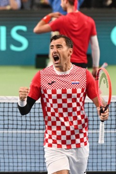 Kvalifikacije Davis cup: Hrvatska - Belgija