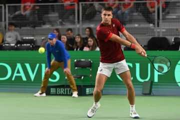 Kvalifikacije Davis cup: Hrvatska - Belgija